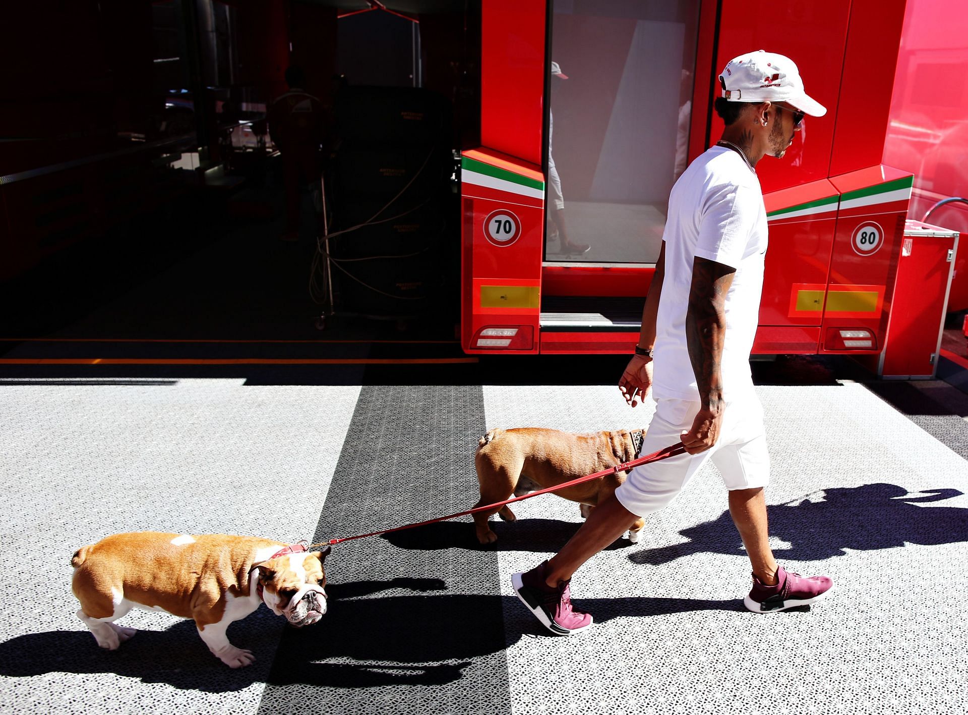 Lewis Hamilton with his dogs, Roscoe and Coco, during the Belgium GP previews in 2016. Source: Getty